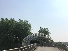 -同里国家湿地公园