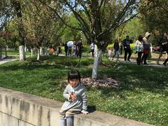 -白塔公园-儿童游乐园