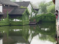 -鲁镇