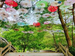 -广州市帽峰山景区