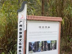 -红山村
