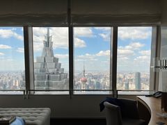 -上海柏悦酒店