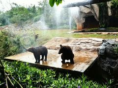 -海南热带野生动植物园