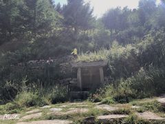 -芦芽山旅游度假区