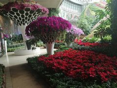 -花之城