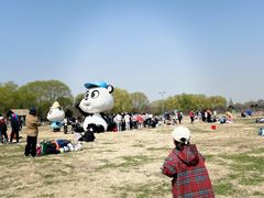 -苏州太湖国家湿地公园