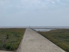 -南汇嘴观海公园