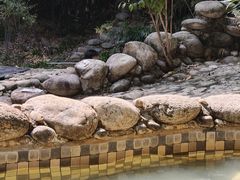 -三江森林温泉度假区