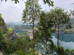 -黄埔油麻山森林公园