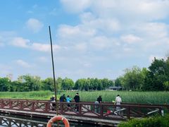 -金银湖国家城市湿地公园
