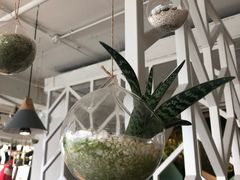 -嘉和一品粥(方庄店)