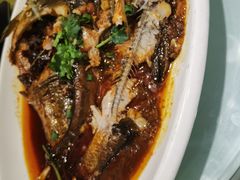 -陈家老院子(高新店)