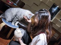 -H立方实景剧情密室(天河旗舰店)