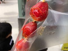 -深圳市罗湖体育馆