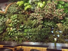 -Seesaw Coffee(环贸iapm店)