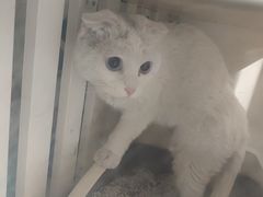 -平行世界·猫咖(首经贸店)