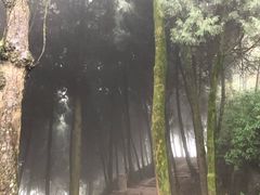 -金堂县云顶石城风景区