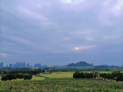 -光明小镇欢乐田园