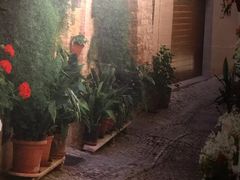 -猴满足影院足道SPA(金钟路店)