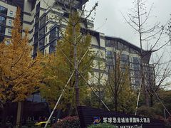 -常州环球恐龙城维景国际大酒店