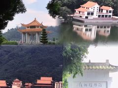 -深圳仙湖植物园