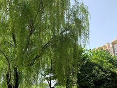 -木塔寺遗址生态公园