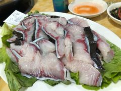 -金砂阿洲鱼册店