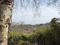 -莫干山风景区