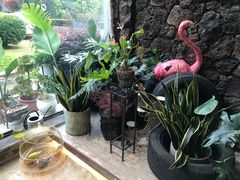 -名点荟·生日蛋糕·下午茶(五缘湾店)