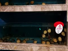 -香融府·烤鸭·家常菜(马家堡路店)