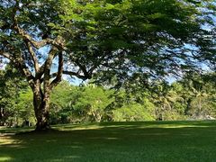 -中国科学院西双版纳热带植物园
