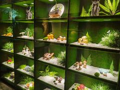 -慢丽江·云南野生菌土鸡锅(西山店)