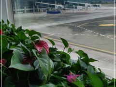 -张家界荷花国际机场