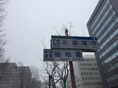 -北海道厅旧本厅舍(旧本庁舎)