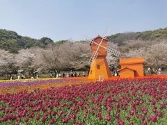 -苏州上方山国家森林公园