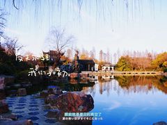 -红梅公园