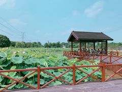 -梁鸿国家湿地公园