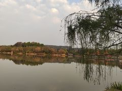 -洛龙公园