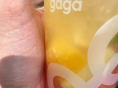 -gaga(深圳福田星河COCO Park店)