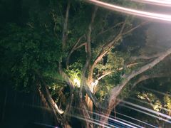 -情侣路