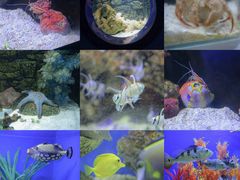 -洛阳龙门海洋馆