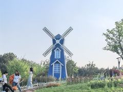 -铁山坪森林公园