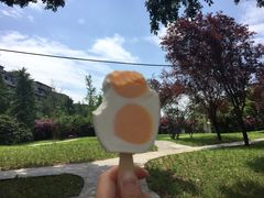 -四川大学(望江校区)