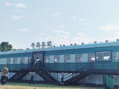 -西京湾花海
