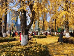 -百林公园-两江幸福广场