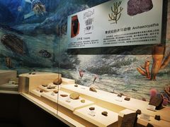 -辽宁古生物博物馆