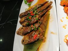 -新东坡酒楼(报社街店)