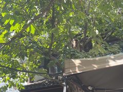 -兴福老面馆(寺路街店)