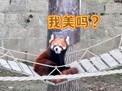 -上海野生动物园