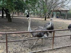 -南昌动物园